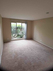 1 Bedroom Bedroom